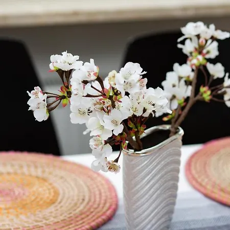 Apartment Niecala Renters *