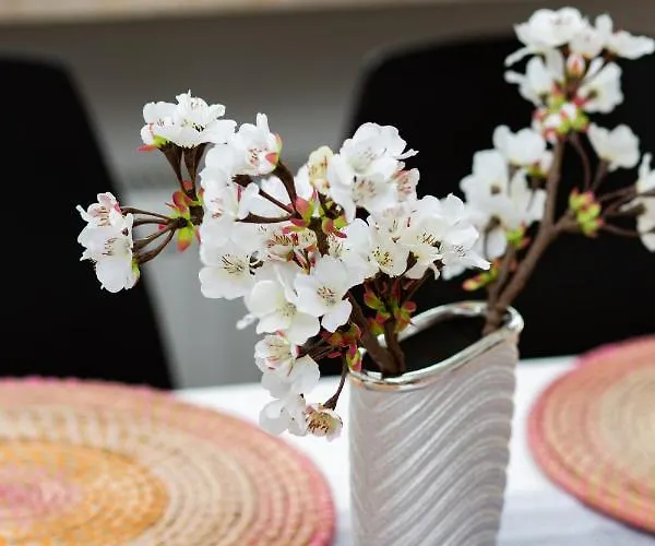 شقة Niecala Renters *